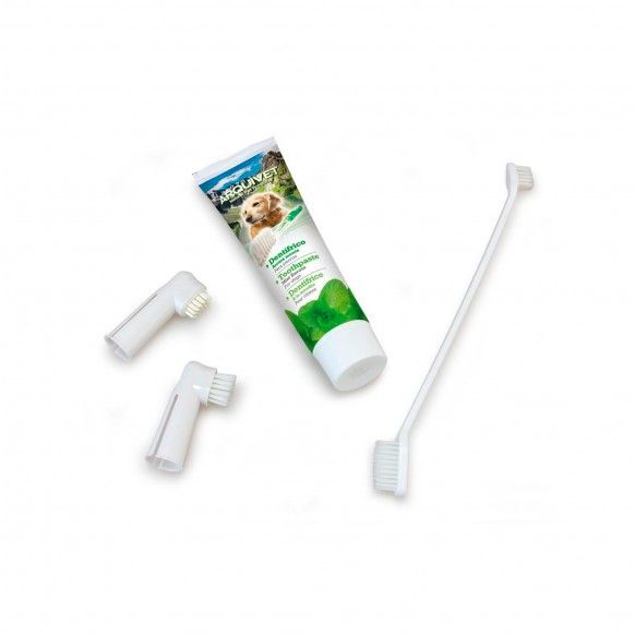 KIT DENTAL PASTA MENTA + 3 ESCOVAS