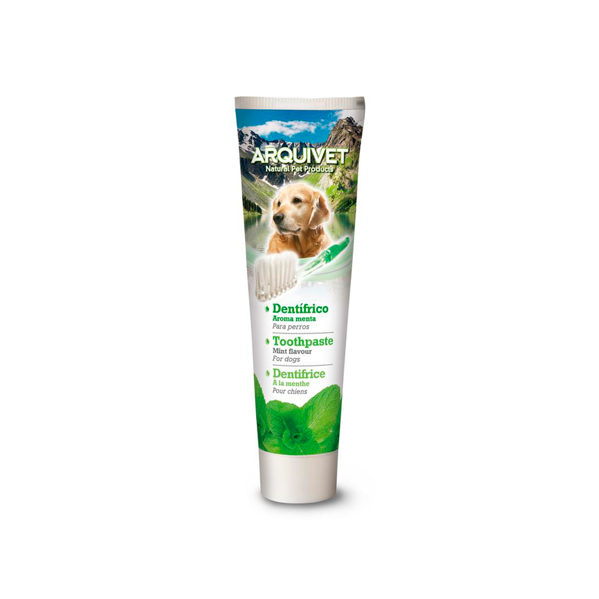 KIT DENTAL PASTA MENTA + 3 ESCOVAS