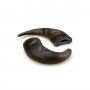 SNACK DENTAL CORNO DE BUFALO - 15-20CM