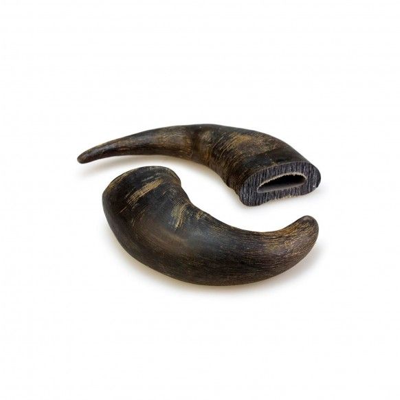 SNACK DENTAL CORNO DE BUFALO - 15-20CM