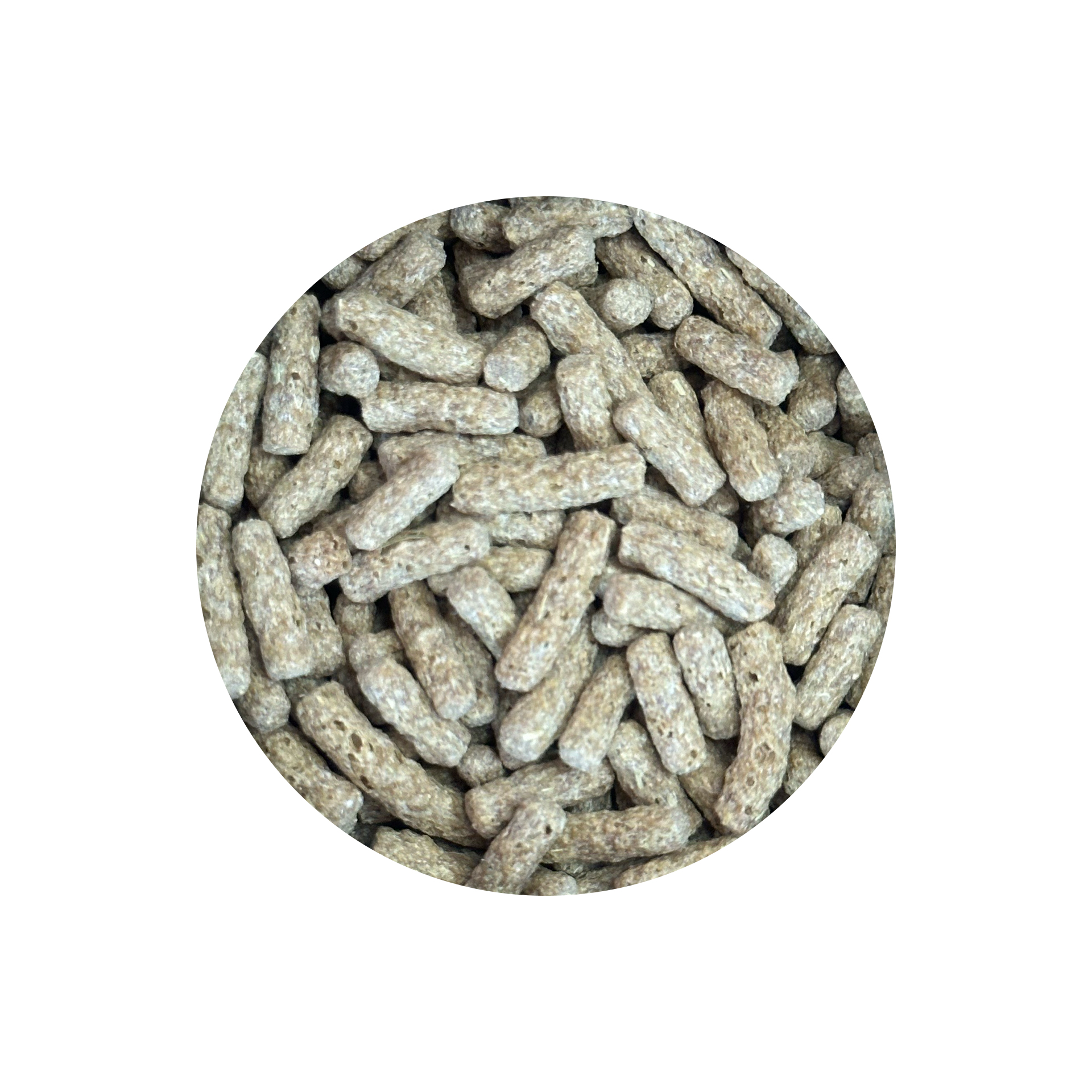 GRANULADO P/ TARTARUGA - 80GR