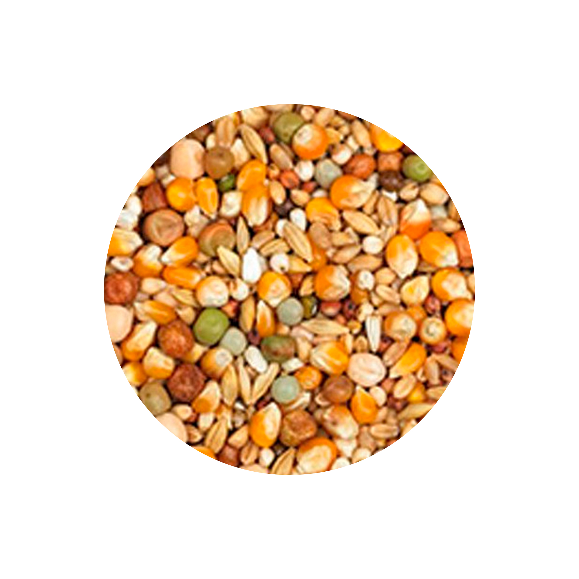 CEREAIS LOTE CORRENTE - 25KG