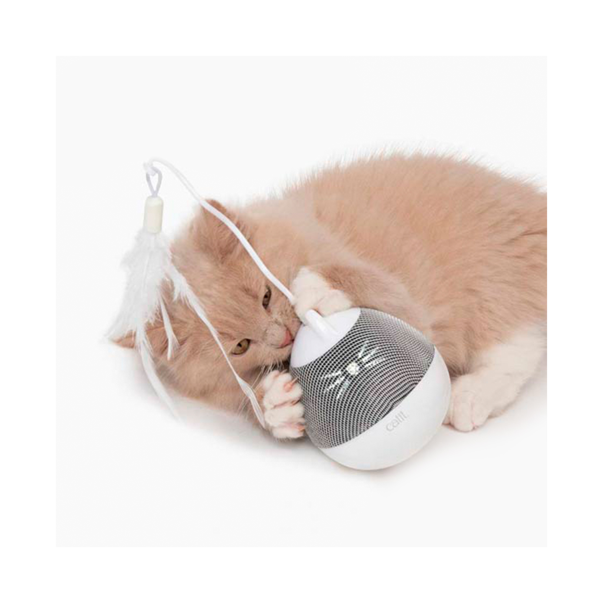 DISPENSADOR DE SNACKS (RATO) PIXI