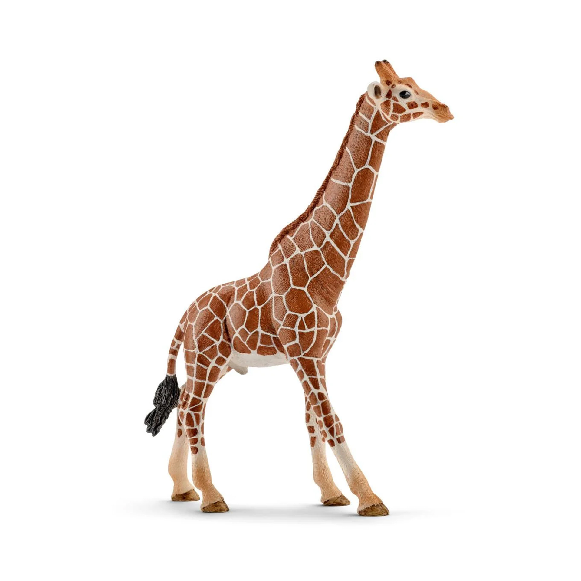 MINIATURA GIRAFA MACHO