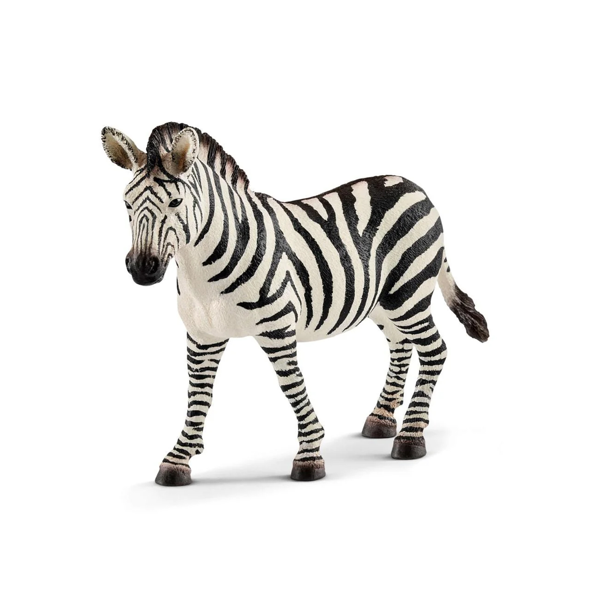 MINIATURA ZEBRA FEMEA