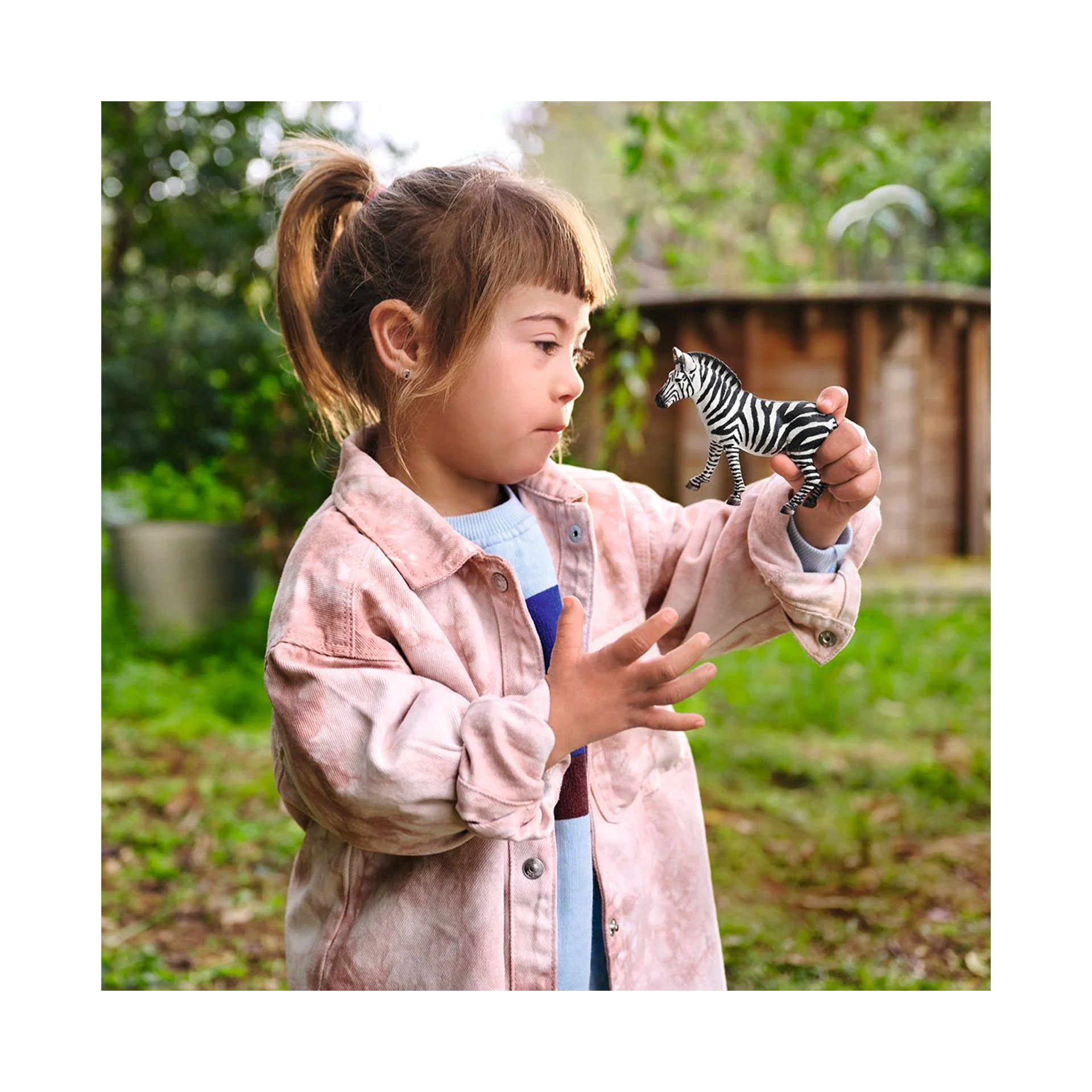 MINIATURA ZEBRA FEMEA