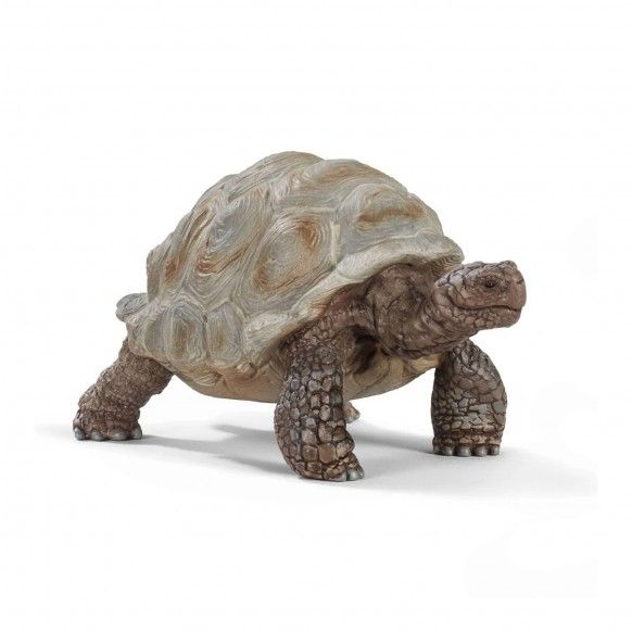 MINIATURA TARTARUGA GIGANTE