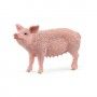 MINIATURA PORCO