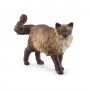 MINIATURA GATO RAGDOLL