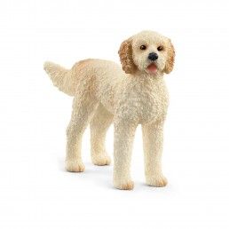MINIATURA GOLDENDOODLE