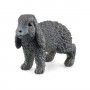 MINIATURA COELHO DE ORELHAS LARGAS