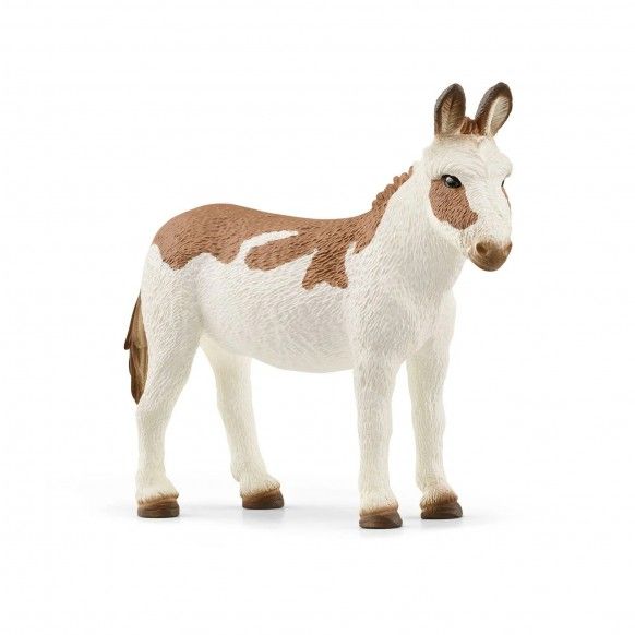 MINIATURA BURRO AMERICANO COM MANCHAS
