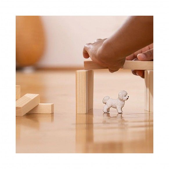 MINIATURA BICHON FRISE
