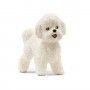 MINIATURA BICHON FRISE