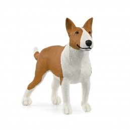 MINIATURA BULL TERRIER