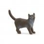 MINIATURA GATO BRITANICO DE PELO CURTO