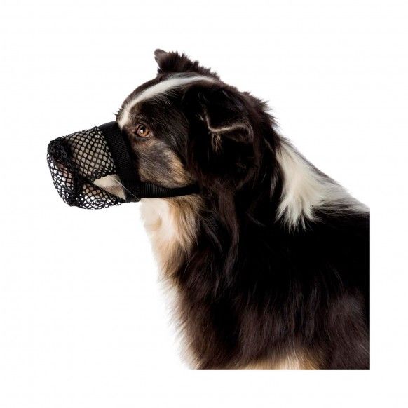 AAIME ANTI-INGESTAO POLIESTER TAM. L - 32CM