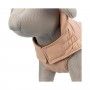 CAPA "LESMONT" P/ CAES CREME - 40CM CAPA "LESMONT" P/ CAES CREME - 40CM