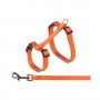 PEITORAL COM TRELA PARA GATO 10MM - 27-45CM PEITORAL COM TRELA PARA GATO 10MM - 27-45CM