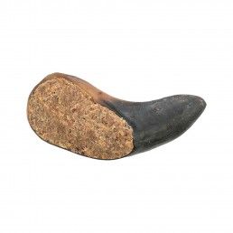 CORNO DE BUFALO RECHEADO