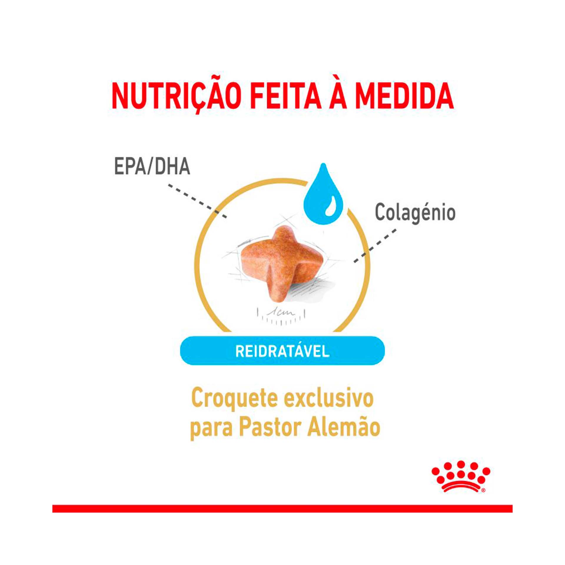 ROYAL CANIN GERMAN SHEPHERD AGEING +5 - 12KG