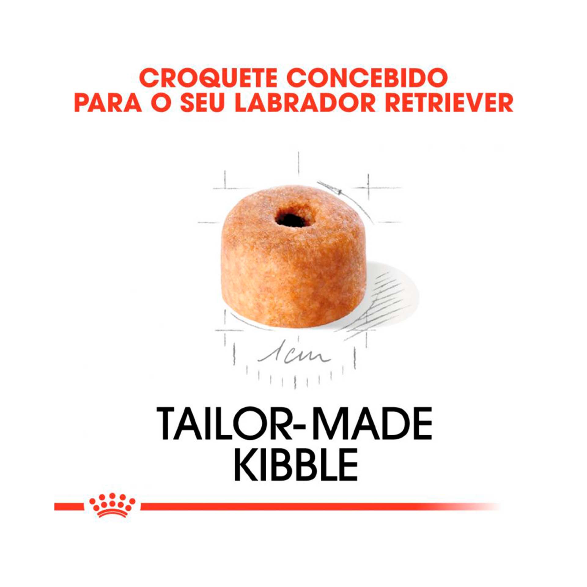 ROYAL CANIN LABRADOR JUNIOR - 12KG