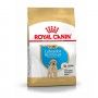 BHN LABRADOR JUNIOR - 12KG BHN LABRADOR JUNIOR - 12KG