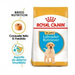 ROYAL CANIN LABRADOR JUNIOR - 12KG
