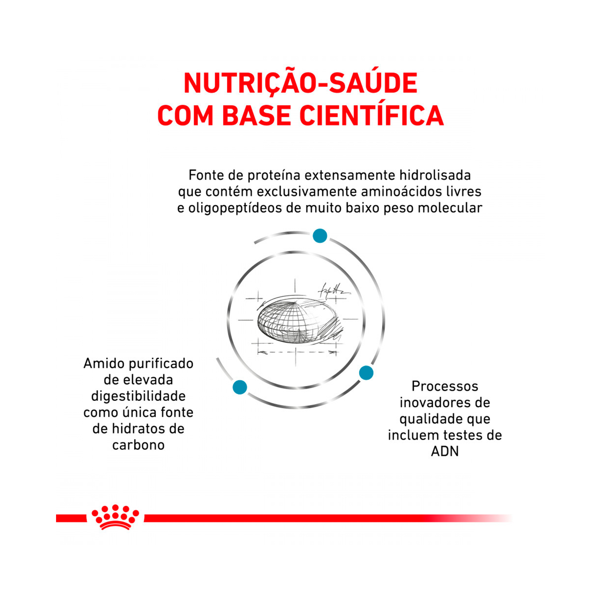 ROYAL CANIN CAO ANALLERGENIC SMALL