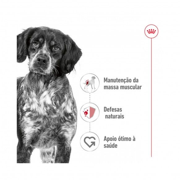 ROYAL CANIN MEDIUM ADULT
