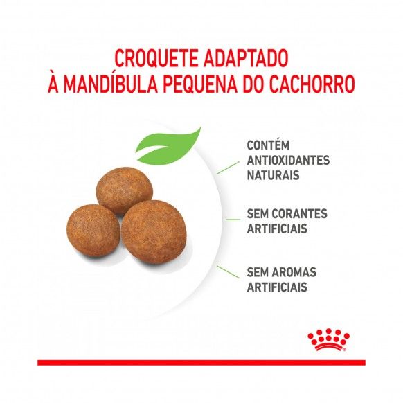 ROYAL CANIN MAXI PUPPY