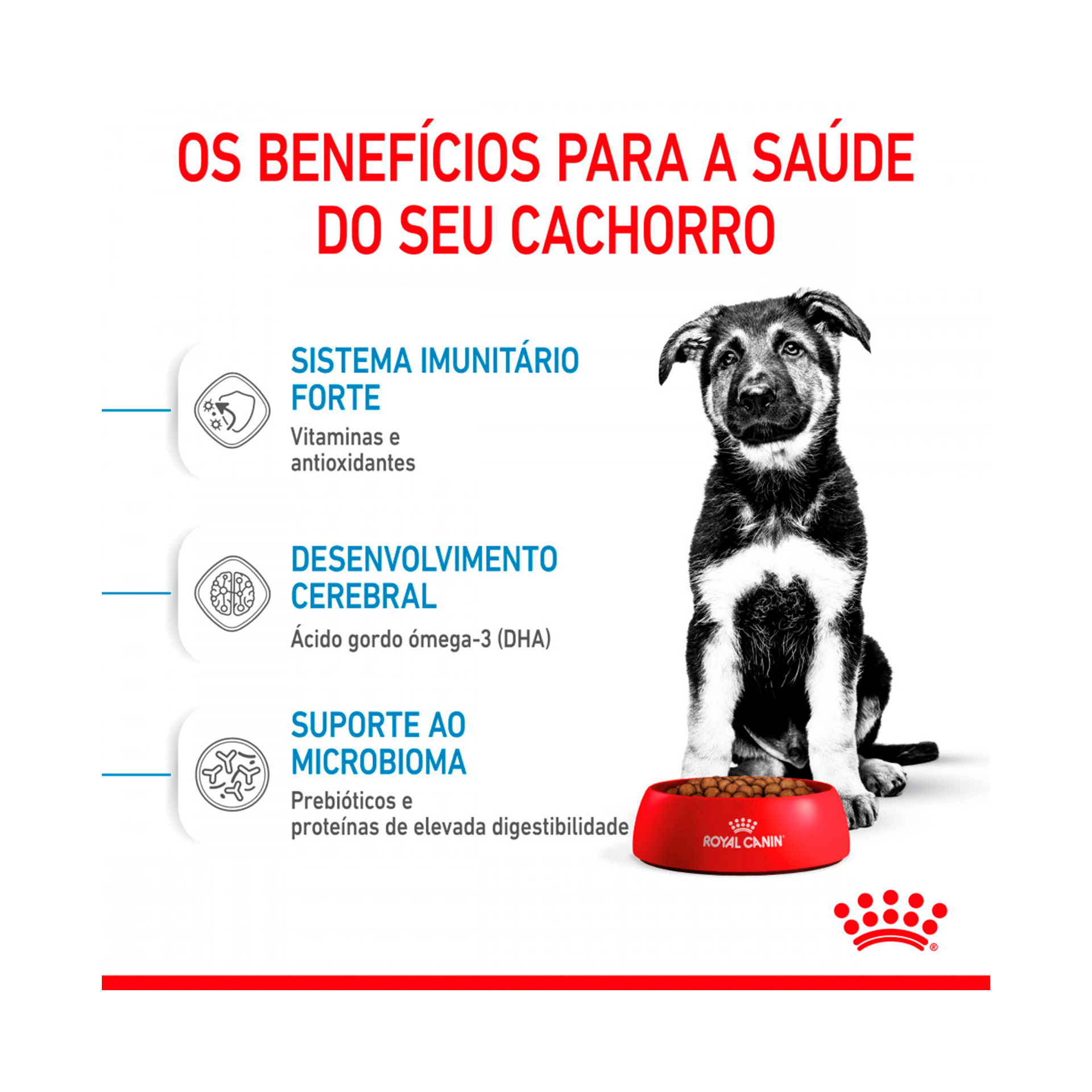 ROYAL CANIN MAXI PUPPY