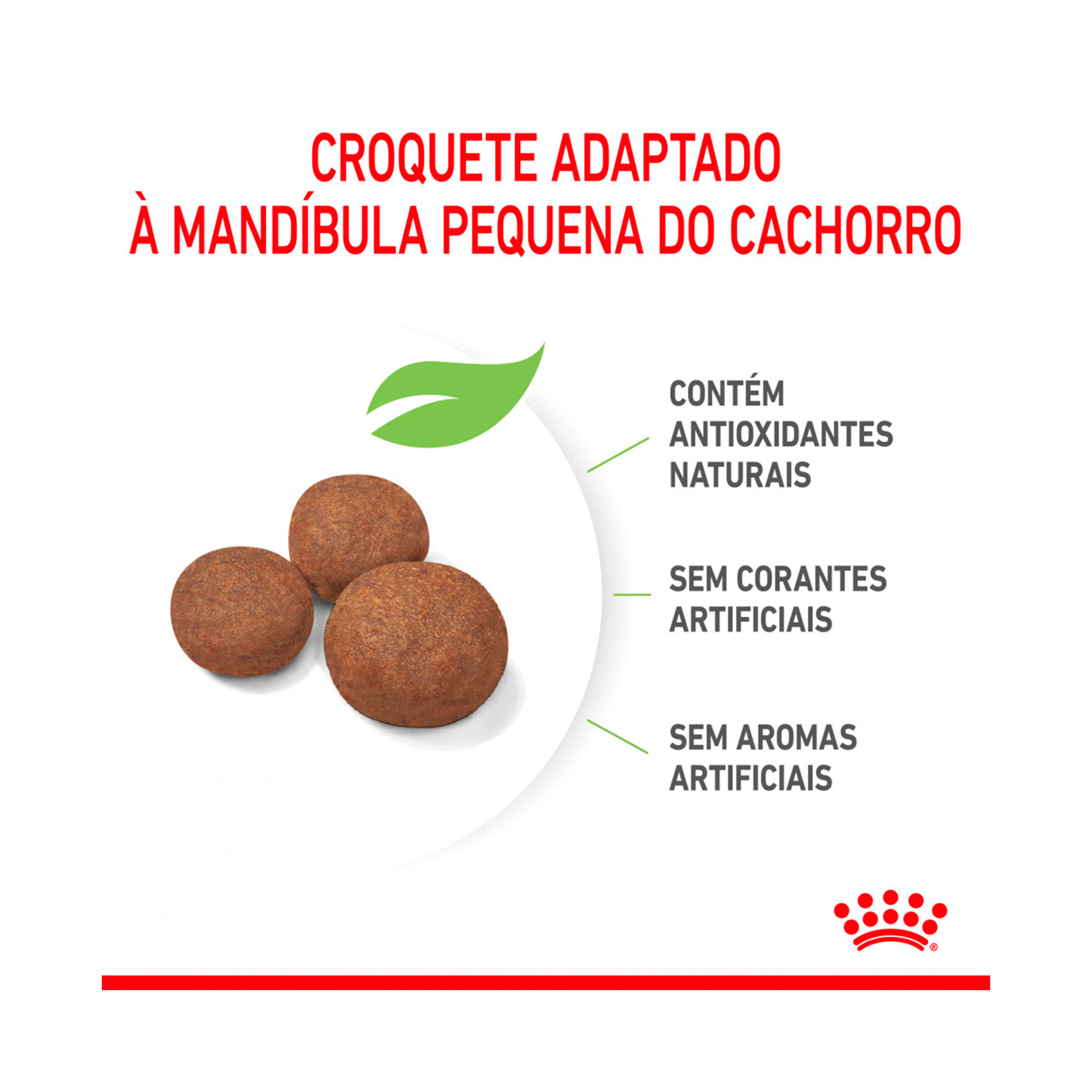 ROYAL CANIN MEDIUM PUPPY