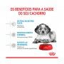 ROYAL CANIN MEDIUM PUPPY ROYAL CANIN MEDIUM PUPPY