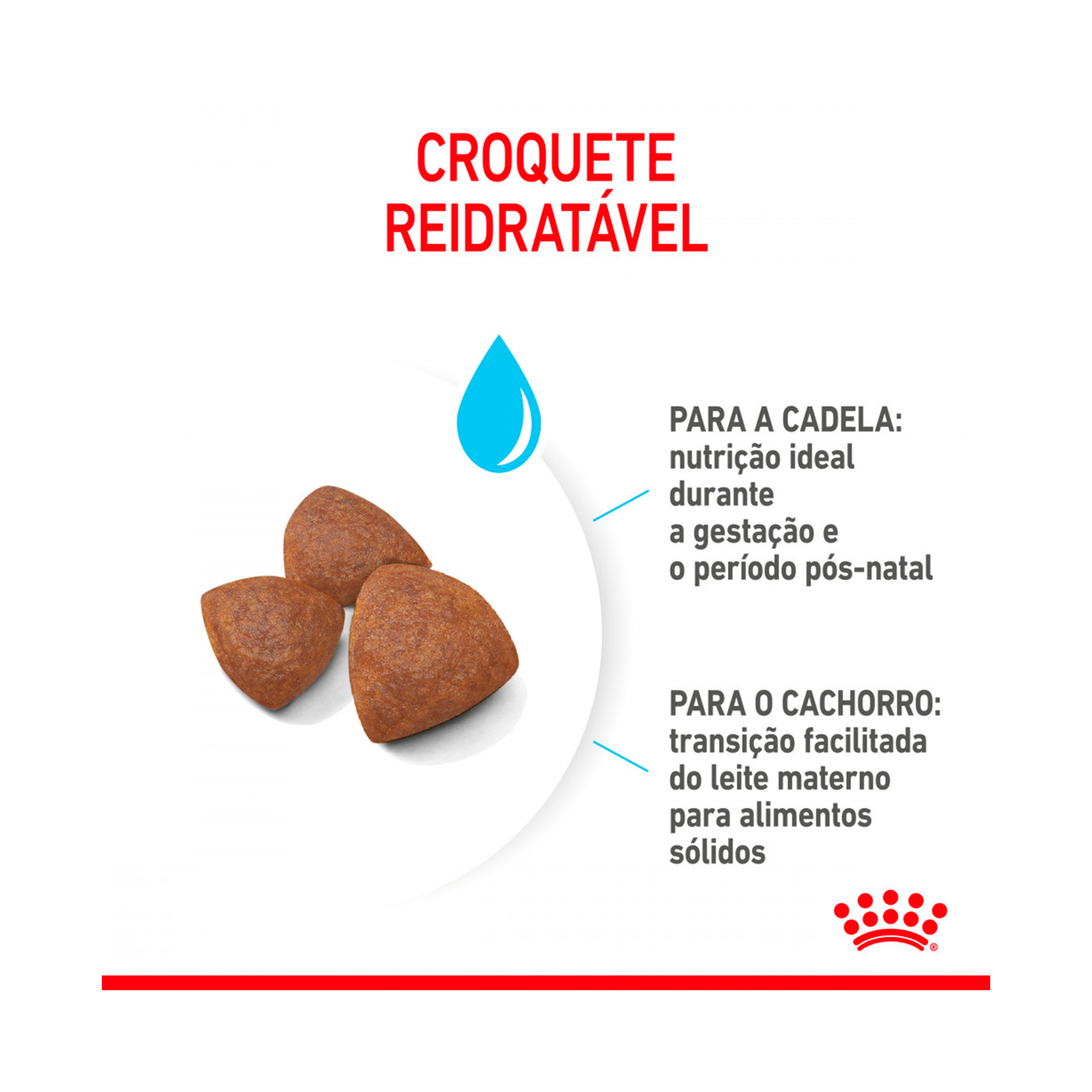 ROYAL CANIN MEDIUM STARTER M&B