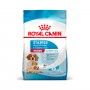 ROYAL CANIN MEDIUM STARTER M&B ROYAL CANIN MEDIUM STARTER M&B