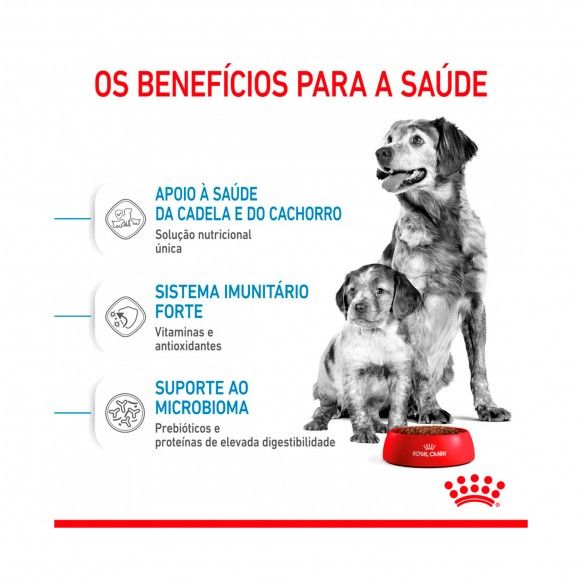 ROYAL CANIN MEDIUM STARTER M&B