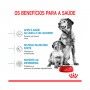 ROYAL CANIN MEDIUM STARTER M&B ROYAL CANIN MEDIUM STARTER M&B