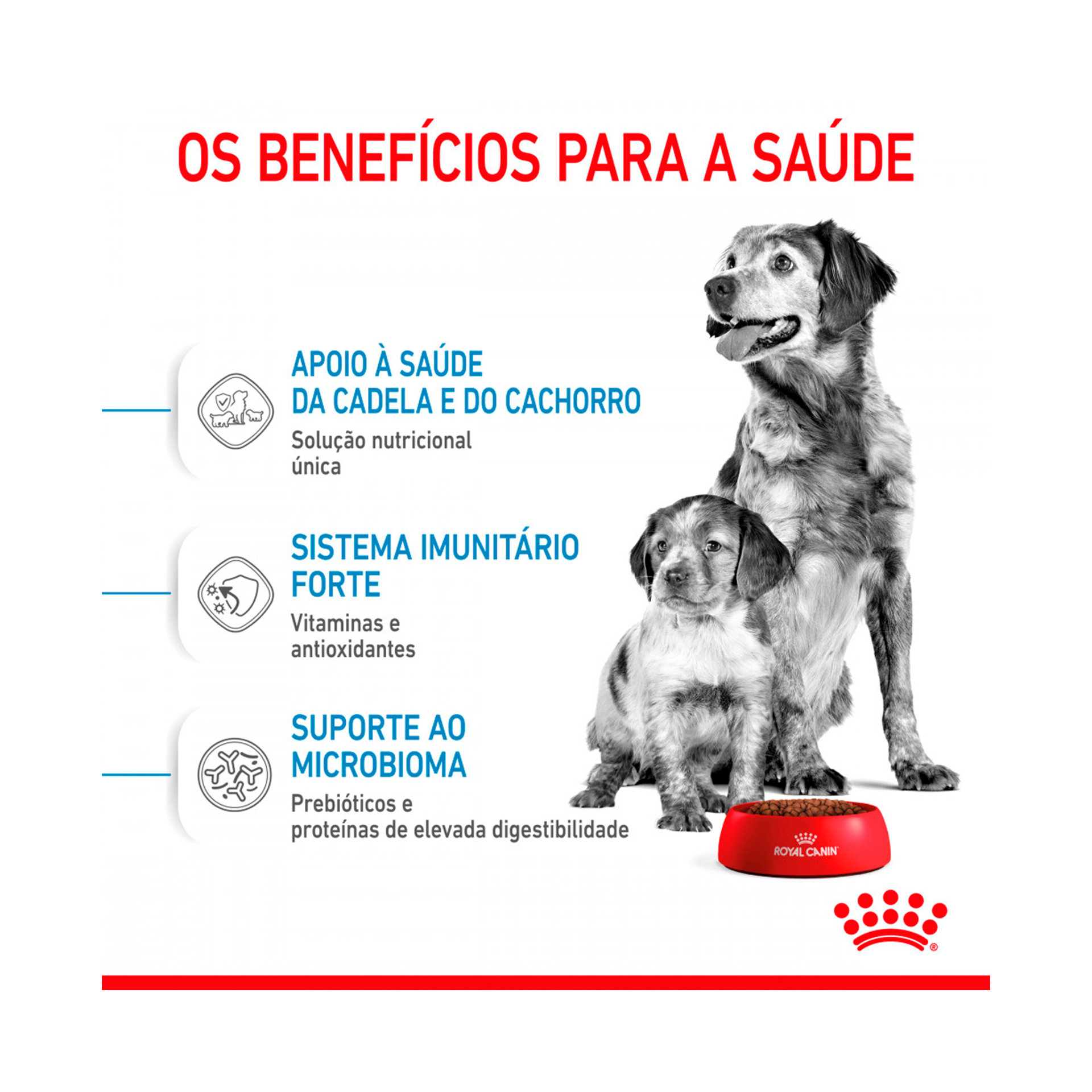 ROYAL CANIN MEDIUM STARTER M&B