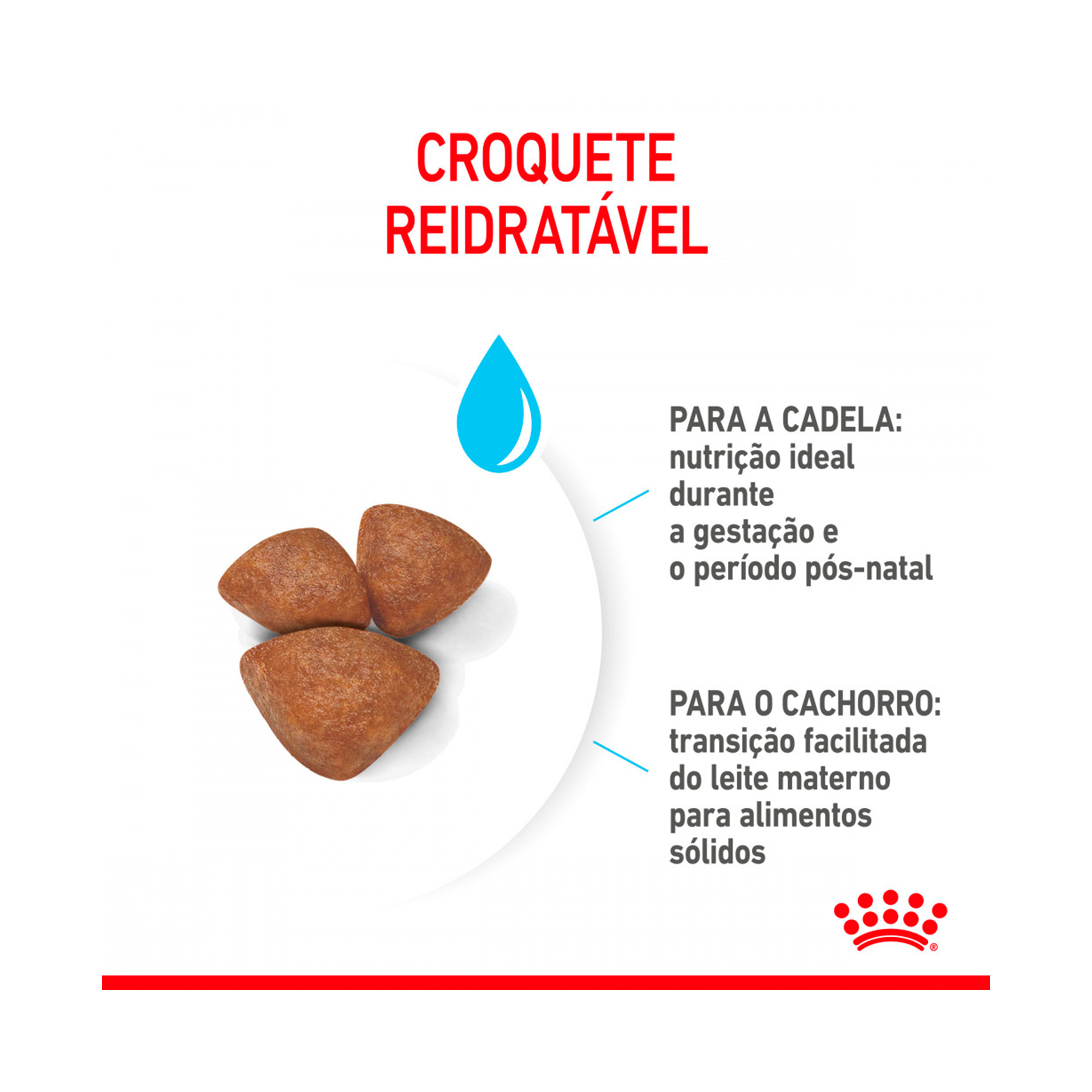 ROYAL CANIN MINI STARTER M&B