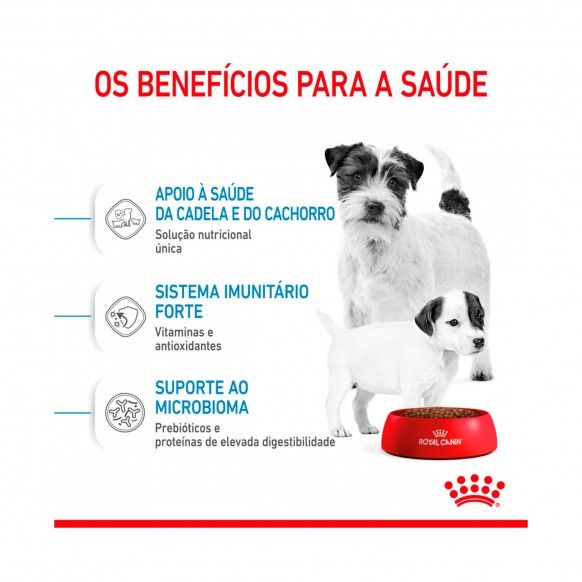 ROYAL CANIN MINI STARTER M&B