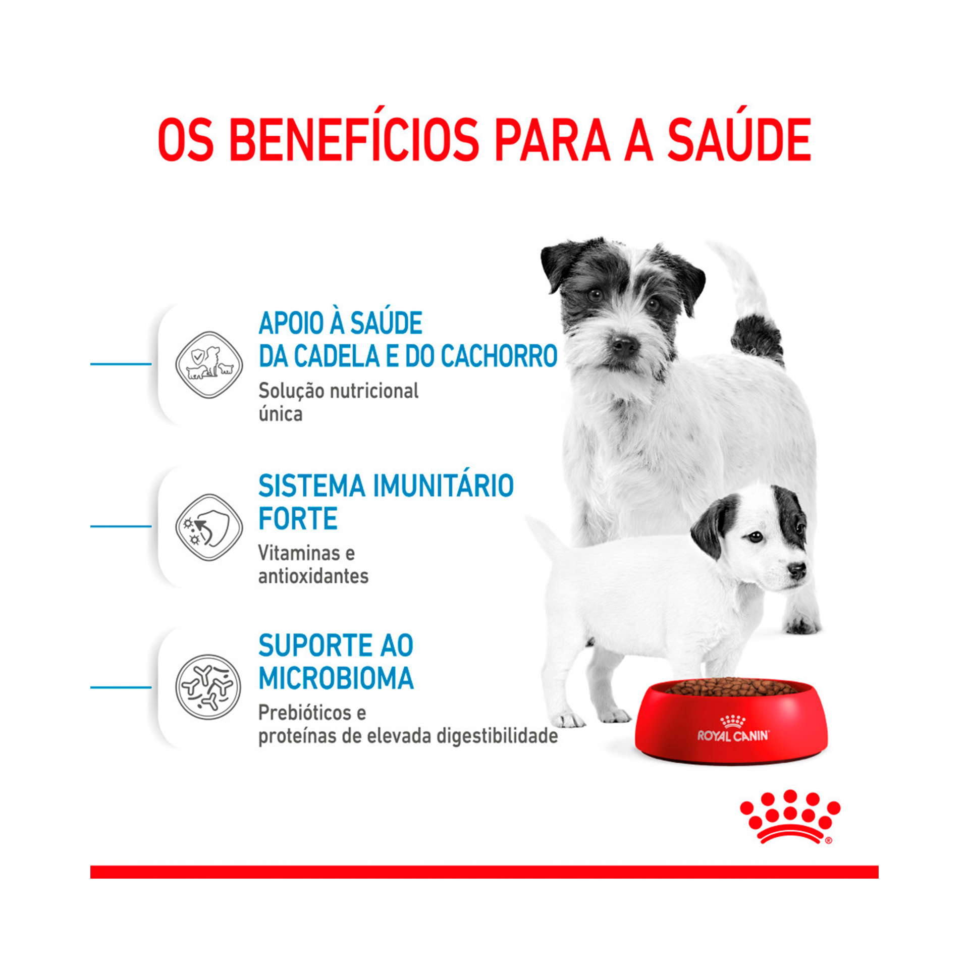 ROYAL CANIN MINI STARTER M&B