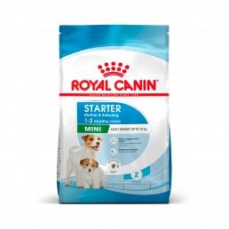 ROYAL CANIN MINI STARTER M&B