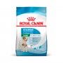 ROYAL CANIN MINI STARTER M&B ROYAL CANIN MINI STARTER M&B