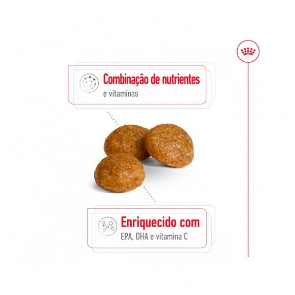 ROYAL CANIN XSMALL ADULT +8