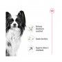 ROYAL CANIN XSMALL ADULT +8 ROYAL CANIN XSMALL ADULT +8
