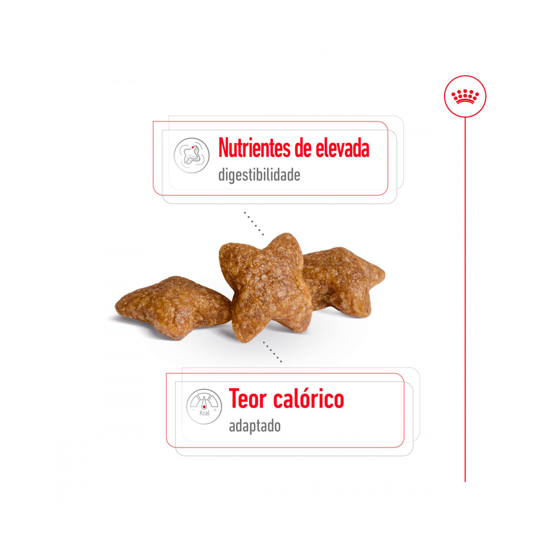 ROYAL CANIN MINI ADULT