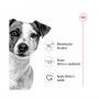 ROYAL CANIN MINI ADULT ROYAL CANIN MINI ADULT