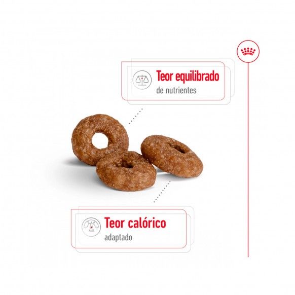 ROYAL CANIN MINI AGEING +12