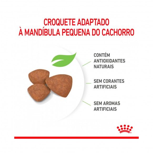 ROYAL CANIN MINI PUPPY